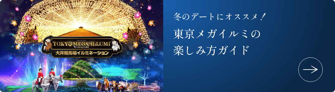 冬のデートにオススメ！東京メガイルミの楽しみ方ガイド