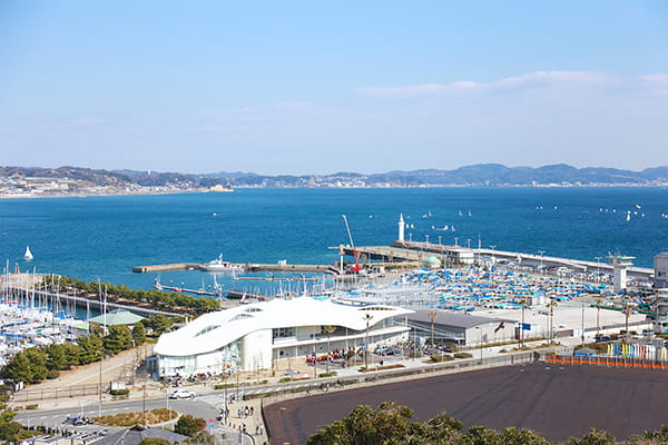 A sanctuary held the Olympic Games twice！Let’s dig deeper into the attractiveness of the yacht harbor.