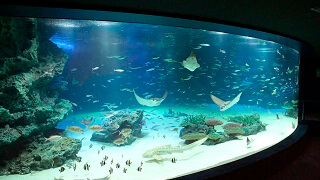 Sunshine Aquarium