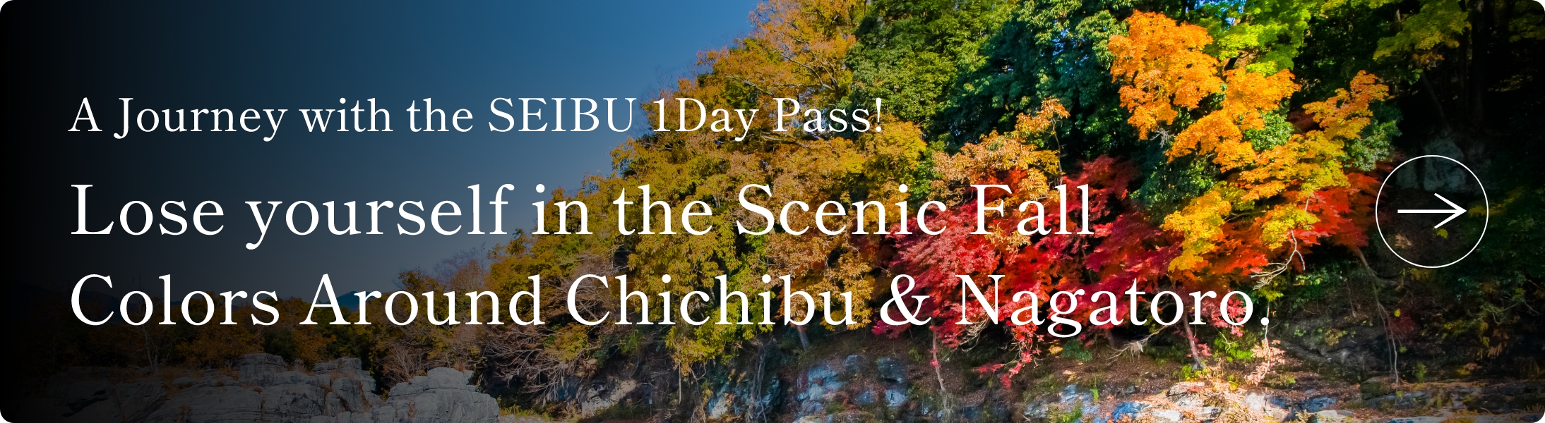 A Journey with the SEIBU 1Day Pass!<br>Lose yourself in the Scenic Fall Colors Around Chichibu & Nagatoro.